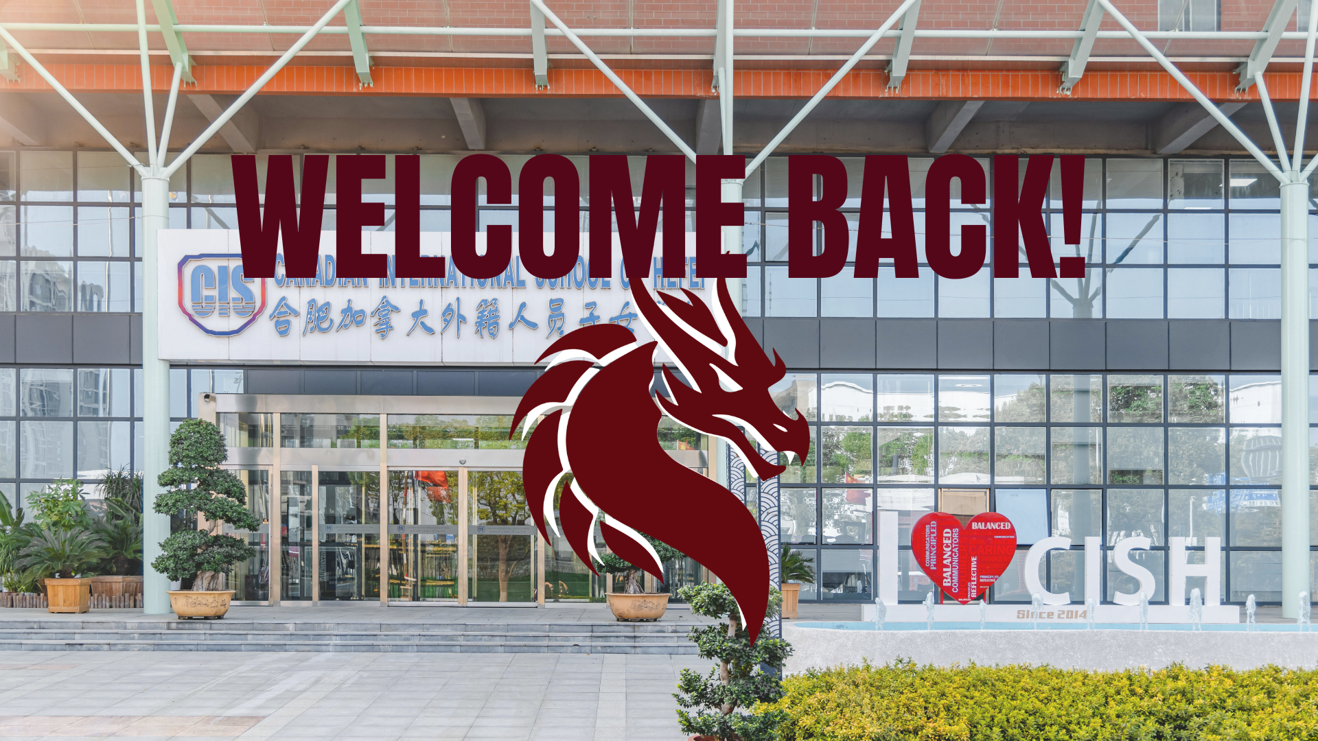 We are Maple Dragons!